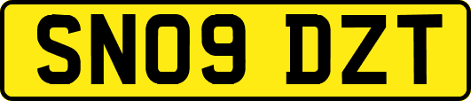 SN09DZT