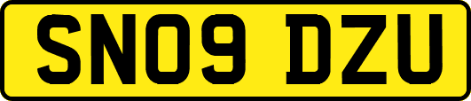 SN09DZU