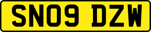 SN09DZW