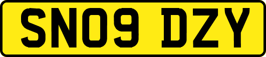 SN09DZY
