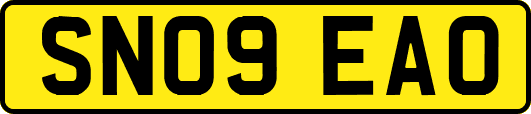SN09EAO