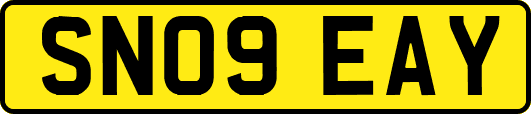 SN09EAY