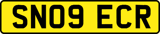 SN09ECR