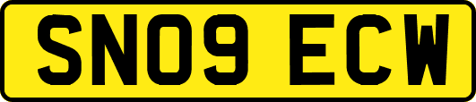 SN09ECW
