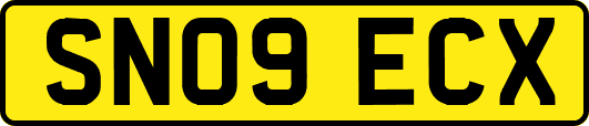 SN09ECX