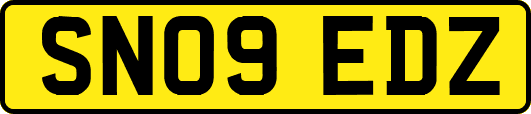 SN09EDZ