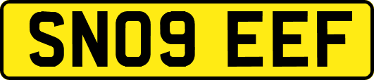 SN09EEF