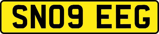 SN09EEG
