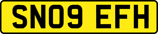 SN09EFH