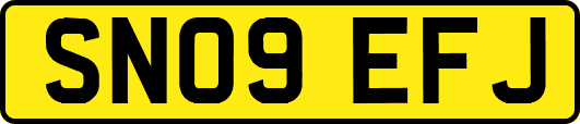 SN09EFJ
