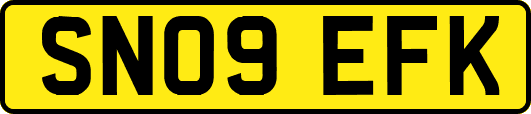 SN09EFK