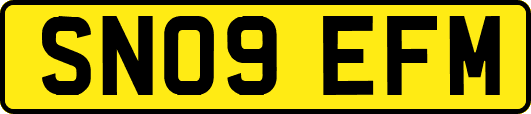 SN09EFM