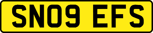 SN09EFS