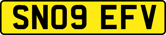 SN09EFV