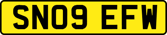 SN09EFW