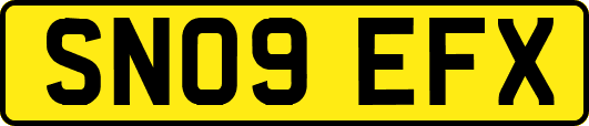 SN09EFX