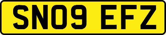 SN09EFZ