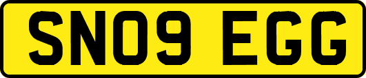 SN09EGG