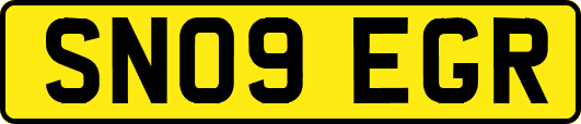 SN09EGR