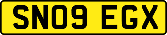 SN09EGX