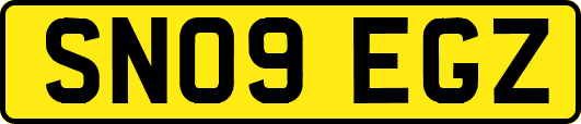 SN09EGZ
