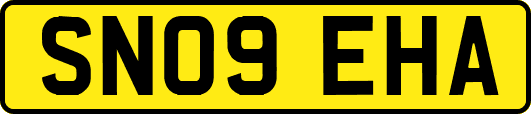 SN09EHA