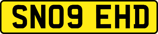 SN09EHD
