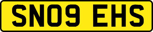 SN09EHS