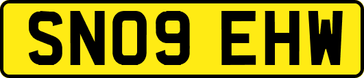 SN09EHW