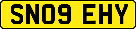 SN09EHY