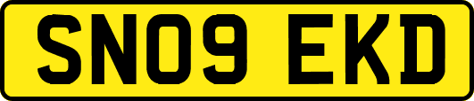 SN09EKD