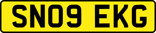 SN09EKG