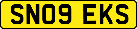 SN09EKS