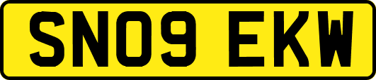 SN09EKW