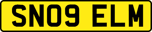 SN09ELM