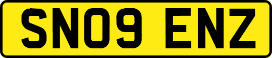 SN09ENZ