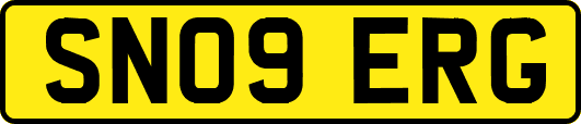 SN09ERG