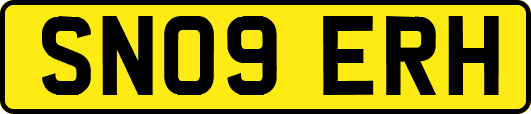 SN09ERH