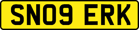 SN09ERK
