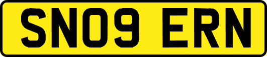 SN09ERN