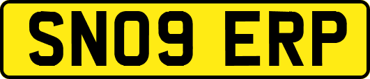 SN09ERP