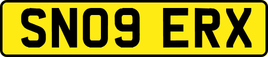 SN09ERX
