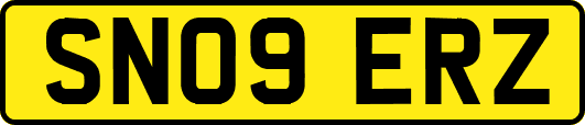 SN09ERZ