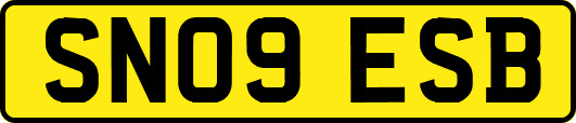 SN09ESB