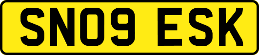 SN09ESK