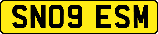 SN09ESM