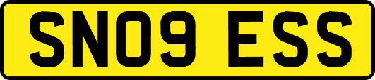 SN09ESS