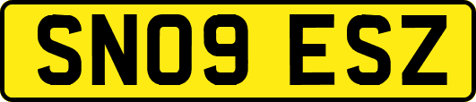 SN09ESZ