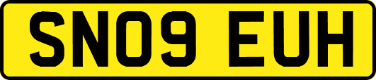 SN09EUH