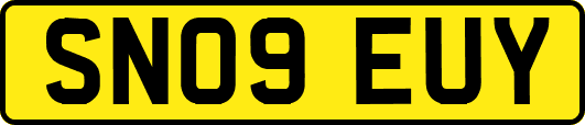 SN09EUY